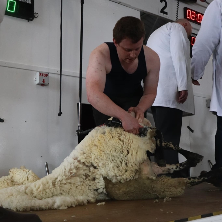 Our Training and Development winner Stephen visited the Wool Testing Authority (Europe) lab