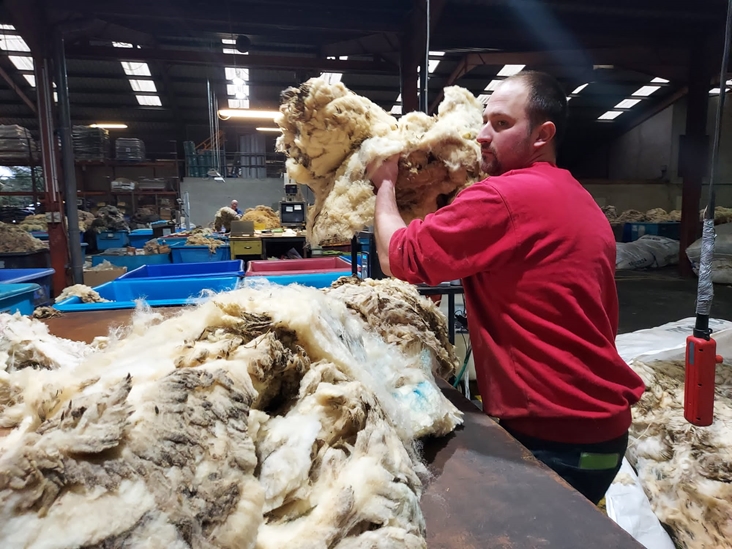 Making The Grade With Newly Qualified Ulster Wool Grader Adam Noble