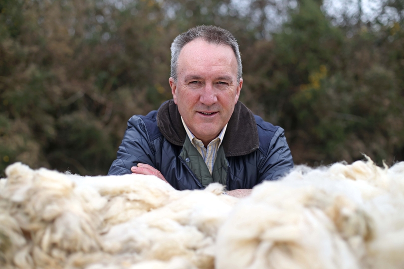 Wool price enjoys further increase