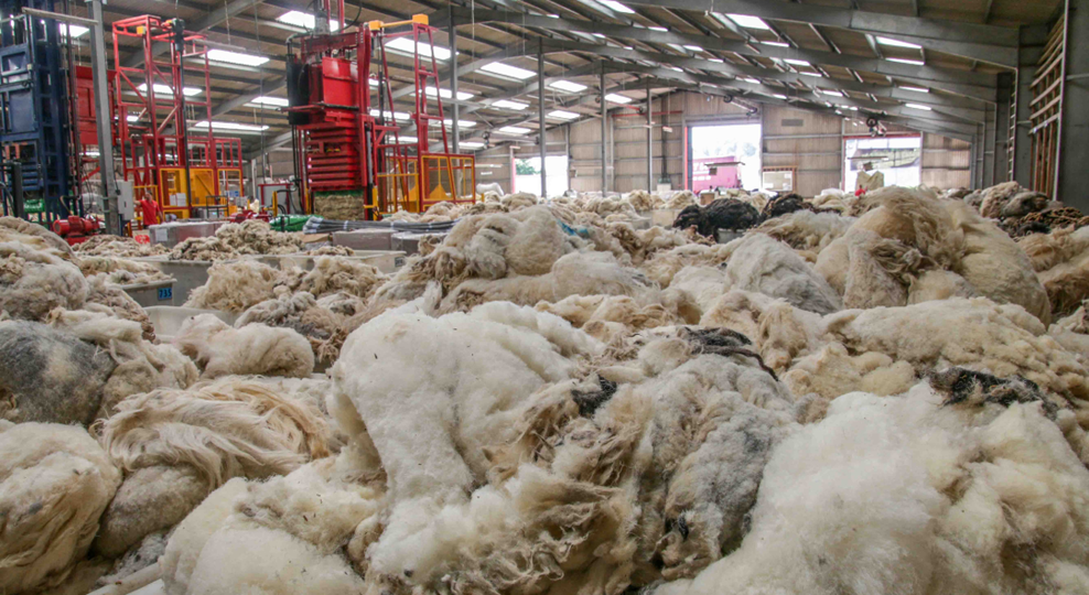 Ulster Wool sales update