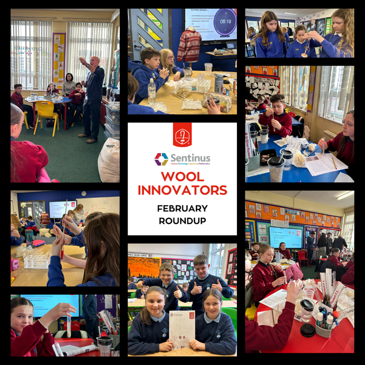 Wool Innovators Project - February Roundup