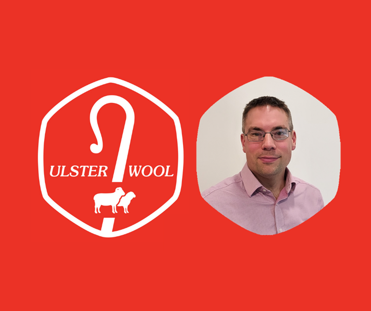 New man at the helm at Ulster Wool