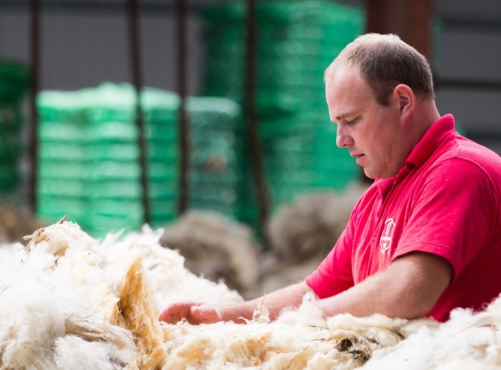 Ulster Wool Depot Open Day