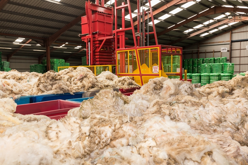 Wool Market Recovery Has Started