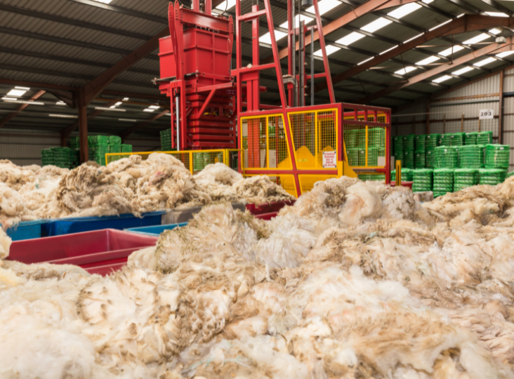 Prices and demand at wool auctions continue to increase