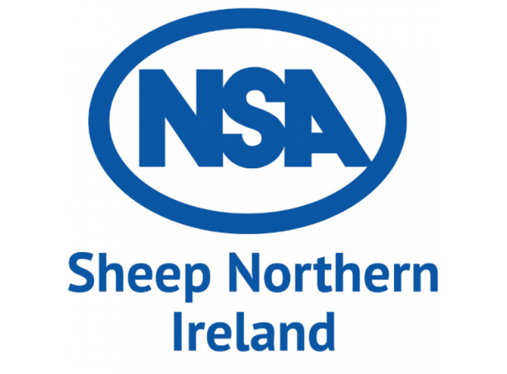 ‘Time to focus on the sheep farmers’, says National Sheep Association, as it looks forward to its 2022 activities