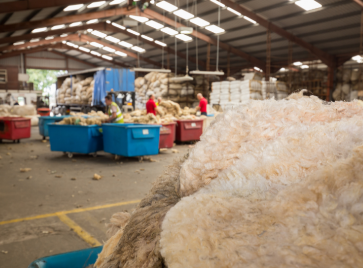 Positive outlook for wool in 2022