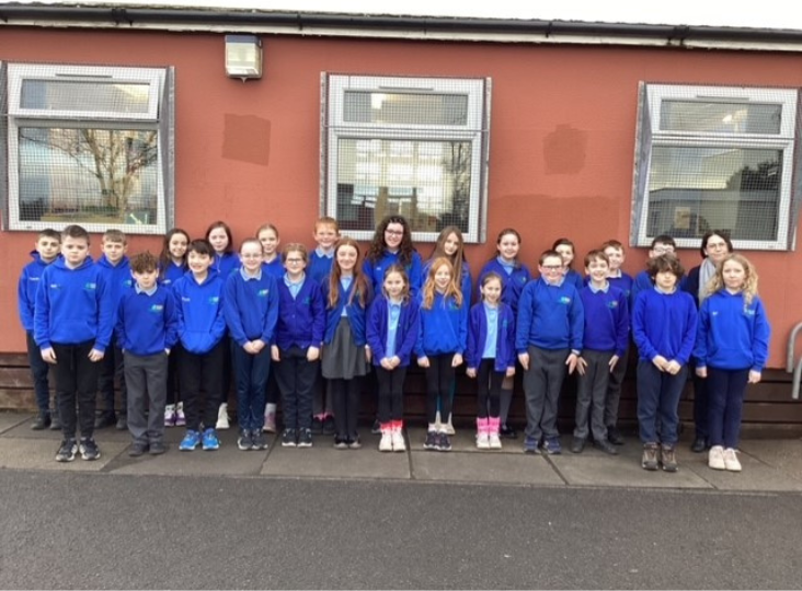 Wool Innovators Project with Sentinus - Focus on Kilmoyle Primary School