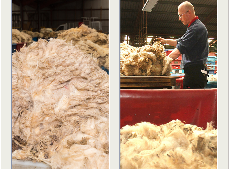 The importance of bringing in your wool to us