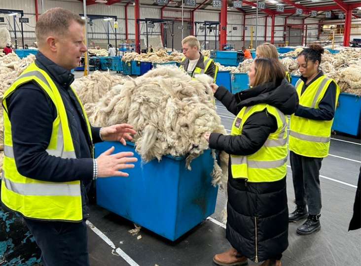 New Traceable Wool Mattresses in John Lewis