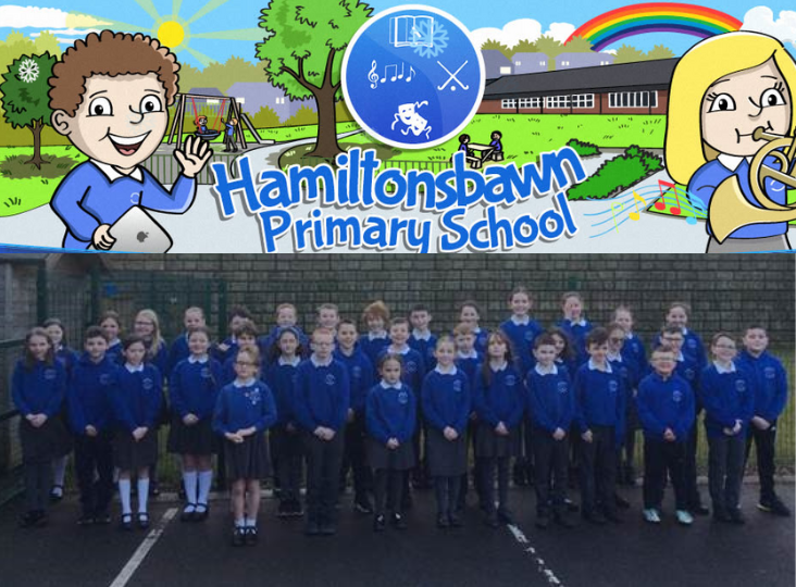 Wool Innovators Project with Sentinus - Focus on Hamiltonsbawn Primary School