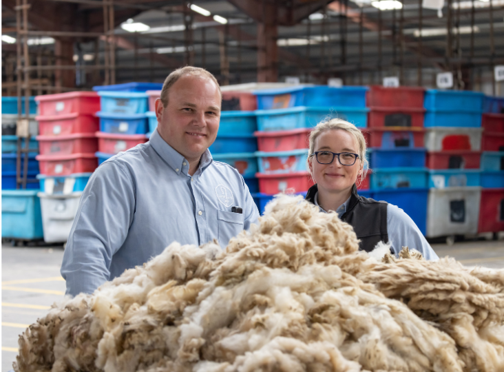 Schools announced in Ulster Wool project