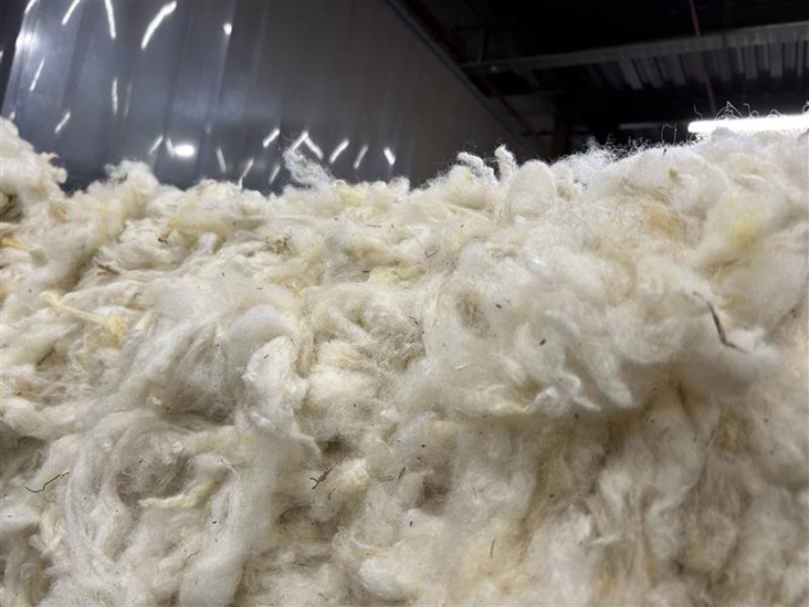 New research project looks to improve future for UK wool industry