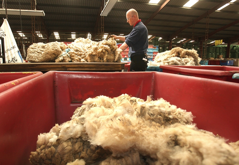 Your Wool from Farm to Auction: Part One