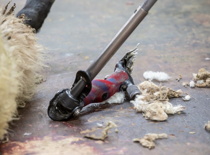 Shearing Register - Working Together