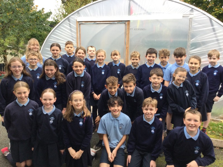 Wool Innovators Project with Sentinus - Focus on St John's Primary School